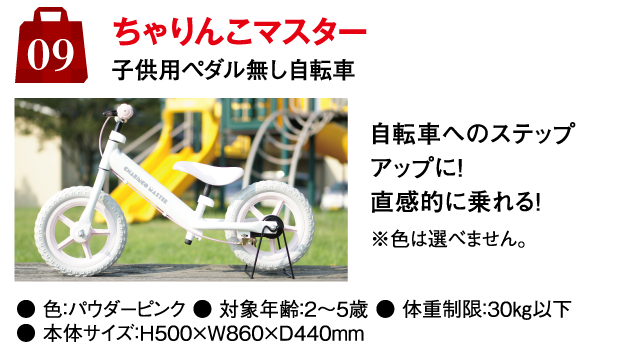 9.ちゃりんこマスター